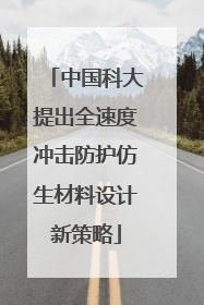 中国科大提出全速度冲击防护仿生材料设计新策略